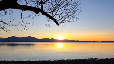 Voranzeige für Reihenmittelhaus zu Vermieten