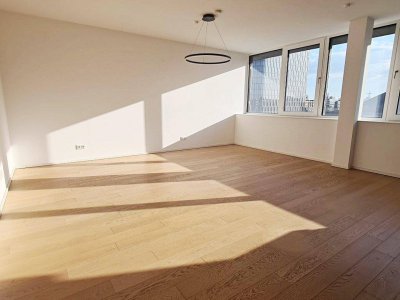 ARGENTINIERSTRASSE, klimatisiertes 68 m2 Dachgeschoß, 2 Zimmer, Wohnküche, Wannenbad, Parketten, Hauptbahnhof-Nähe