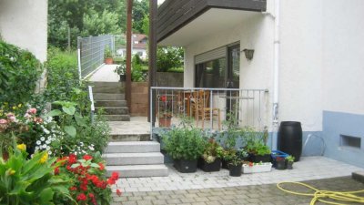 1 ZW mit Terrasse Niederschopfheim