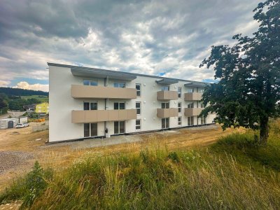 2 MONATE MIETFREI! BEZUG AB 15.09. -Traumhafte 3 Zimmer Wohnung in Hofkirchen
