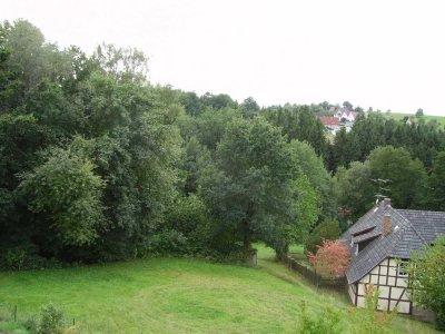Ruhige 2 1/2-Zimmer-Terrassenwohnung am Waldrand