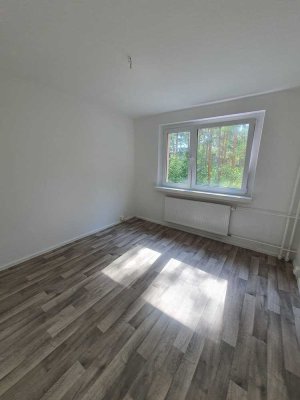 Erstbezug nach Sanierung! 3 Zi.Whg. mit Balkon in Walddrehna