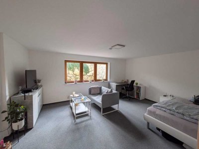Helle 1-Zimmer-Wohnung mit Einbauküche, Bad und Flur