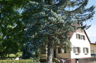 Wohnhaus mit Nebengebäude in Ortsrandlage in 2625 Schwarzau am Steinfeld