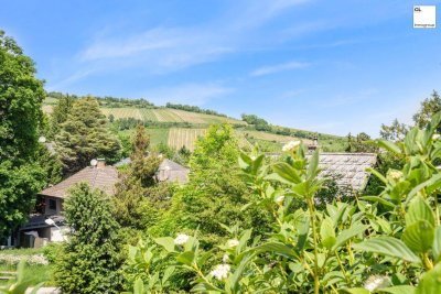Moderne Villa mit durchdachter Architektur und einzigartiger Aussicht in nobler Lage Klosterneuburgs
