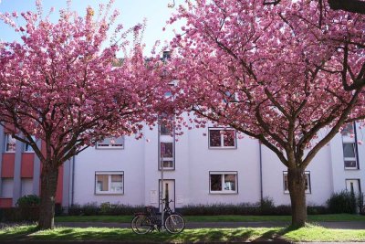 Top Angebot in KR-Bockum: Besondere, modernisierte 110m² Wohnung mit 4 Zimmern und großem Balkon!