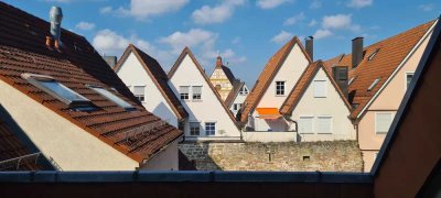 Stimmungsvolle 2-Zimmer-DG-Wohnung mit Loggia u. EBK, Altstadt in Leonberg (Marktplatz)
