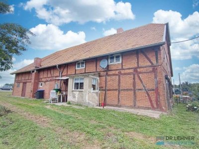 Bauernhaus mit Stallungen und großem Gartenbereich-direkt am Elbdeich!