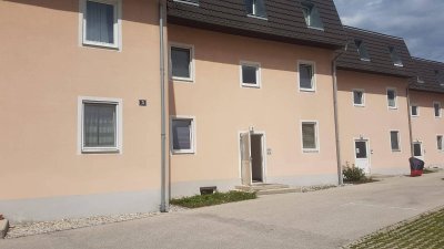 Nähe Fischapark - Moderne 2-Zimmerwohnung mit kleinem Garten