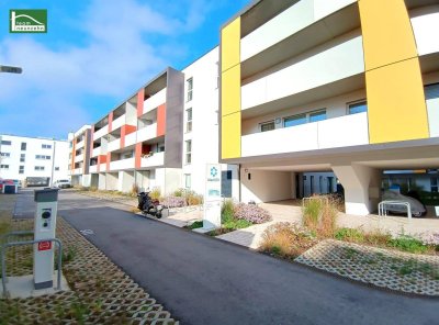 Sonnige 3-Zimmer-Wohnung im Grünen Max - provisionsfrei!