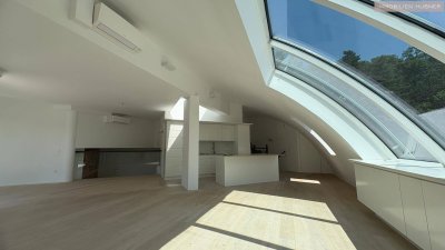 3 Terrassen mitten in Döbling samt Wohnung von 180m2