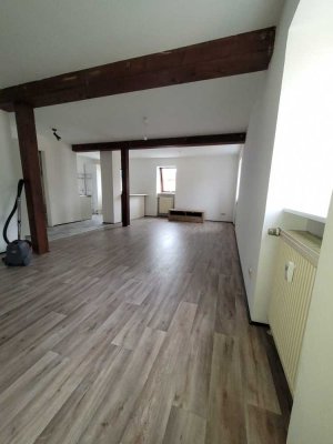 Großzügige 1-Zimmerwohnung in Göttingen