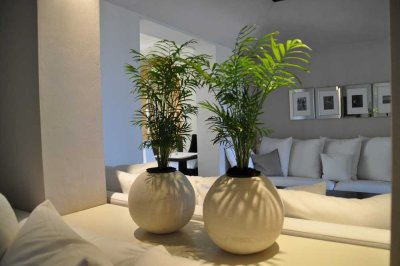 Wohnen mit Stil – moderne 3-Zimmer-Wohnung mit moderner Ausstattung auf 100 m²