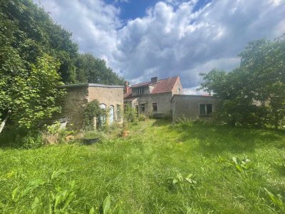 Sonniges und idyllisches Grundstück mit soliden Einfamilienhaus und Nebengelass
