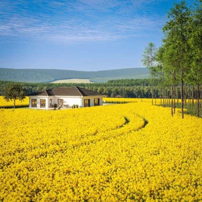 Bien-Zenker Bungalow AMBIENCE 110 - Ihr individuelles Zuhause in Geyer