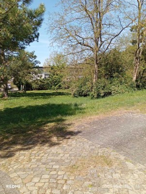 Geräumiges, preiswertes 10-Raum-Einfamilienhaus in Klietz Haus mit großem Park