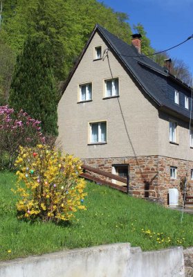 Doppelhaushälfte in Olbernhau Rothental