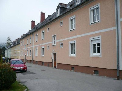 Sanierte 2-Zimmer Wohnung in Wartberg im Mürztal