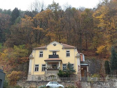 Sächsische Schweiz - 2 ETW in kleiner Villa in Bad Schandau
