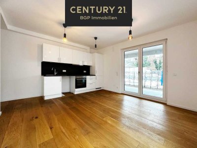 Zwei-Zimmer-Wohnung mit Terrasse / 2.0.1