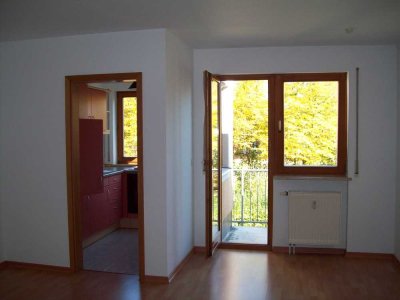 Charmantes 1-Zimmer Apartment in München-Untermenzing