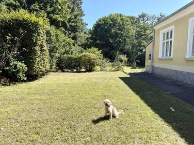 Altbauvilla - absolute Grünruhelage - 2 getrennte Wohneinheiten - 1.100 m² Garten mit Pool