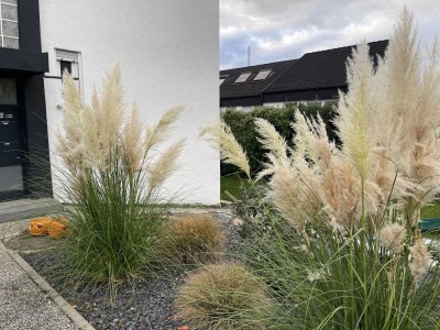 Bezaubernde 2 Zimmer Wohnung mit Stellplatz