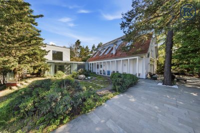 Wo die Seele ihr Zuhause findet: Ein Kunstwerk zwischen Wald und Wien