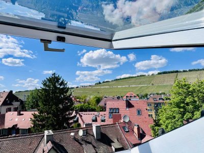 Zentral in Würzburg: Dachgeschosswohnung mit zwei Dachterrassen