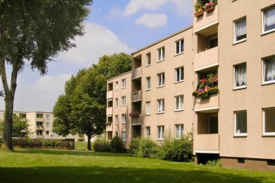 Perfekte Singlewohnung mit Laminatboden