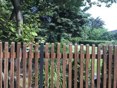 NATUR PUR & FAMILIEN- GLÜCK: IDYLLISCH WOHNEN NAHE DER GROßSTADT