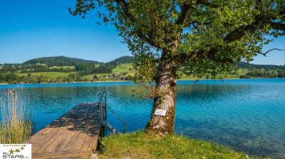 moderne Mobilheime direkt am See zu verkaufen, keine Käuferprovision!