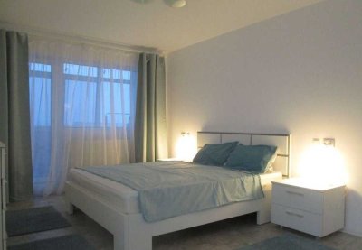 Exklusive, gepflegte 1,5-Raum-DG-Wohnung mit Balkon und EBK in Biebesheim am Rhein
