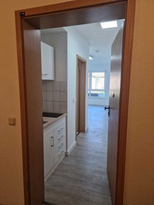 renovierte stilvolle 1-Zimmer-Wohnung mit EBK in Kaiserslautern