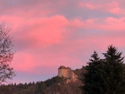 Exklusives Wohnen mitten im Grünen