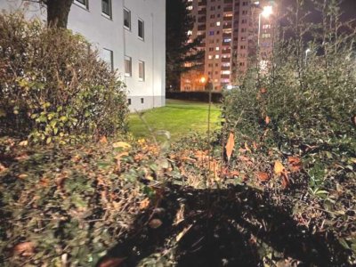 *Schön geschnittene 2- Zimmer Wohnung mit Balkon