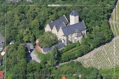 Ein Schloss mit reizvollem Potenzial - Herrschaftliches Anwesen in schönstem Weinberg-Idyll