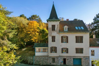 Ein Hauch von Geschichte – Turmhaus in Ruhelage mit Wien-Nähe
