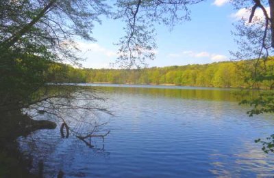 Stilvolle Villa in Bestlage – Mexikoplatz & Schlachtensee fußläufig