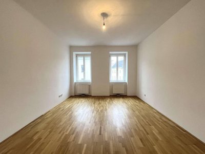 Schön sanierte Altbauwohnung in top Lage -Einraumwohnung nahe Donaukanal