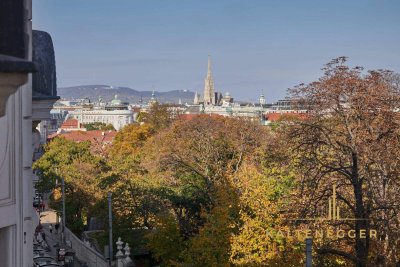 Blick auf den Stephansdom, nahe Schloss Belvedere!