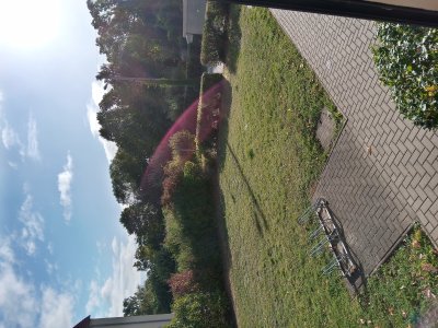 1-Raum-Wohnung in ruhiger grüner Umgebung mitten in Wernigerode im Harz