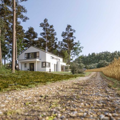 Baugrundstück mit Neubau - Einfamilienhaus in schöner Lage