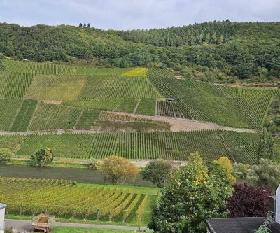 Attraktive 4-Zimmer-Wohnung mit Mosel-/Weinbergsblick und Garten