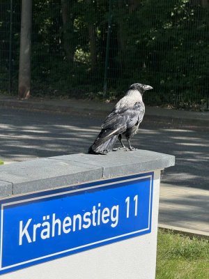 Schick sanierte 3 RWG in ruhiger Lage am Neustädter See