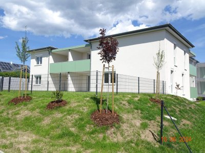 Gr. Gerungs V - LZ: 2650 - Top 111