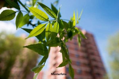 4-Zimmer-Wohnung - 2 Balkone - provisionsfrei