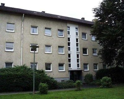 Neu-renovierte 3-Zimmer-Wohnung
