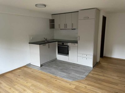 Einzimmerwohnung, renoviert 2022/2023, in ruhiger, zentraler Lage nahe Schweiz