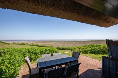 Eine Perle am rantumer Wattenmeer